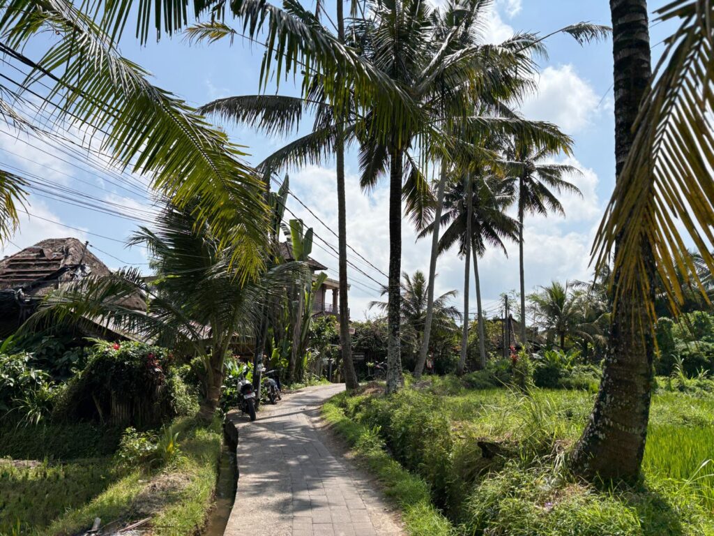 Sweet Orange Walk Ubud