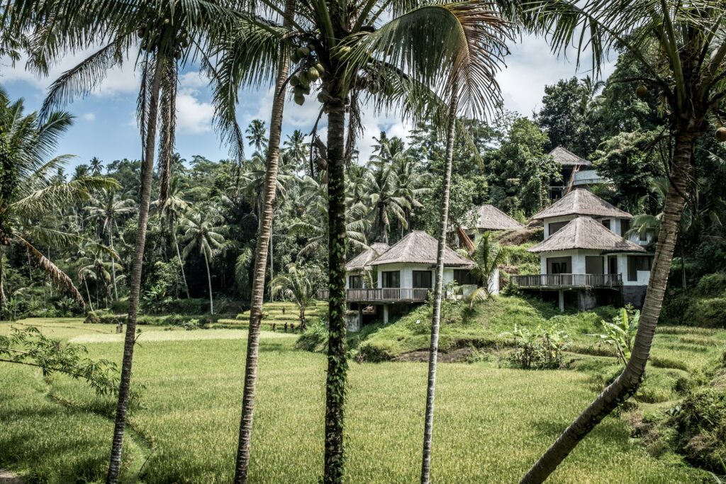 villa omgeven door rijstvelden Bali