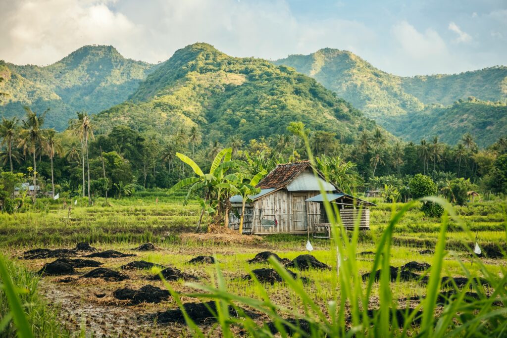 Bali rijstvelden Sidemen Bali vakantie