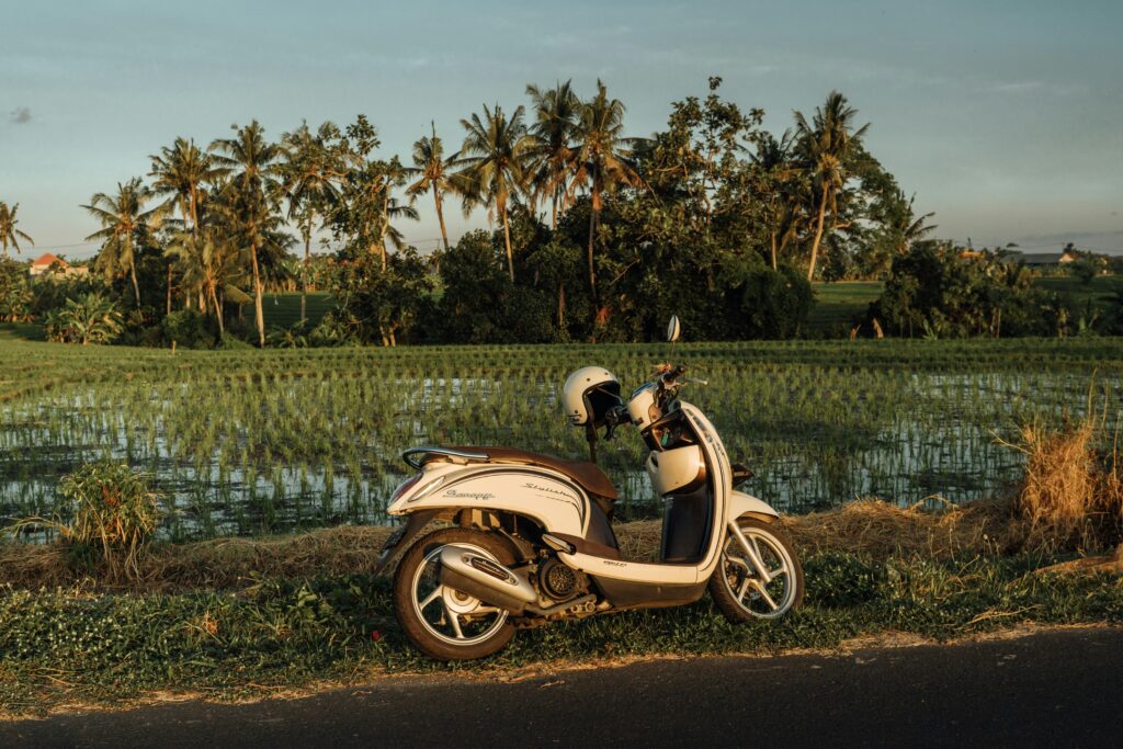 Scooter langs rijstvelden op Bali tijdens een rondreis