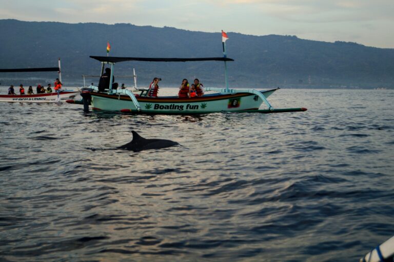 boot met snorkelaars en dolfijnen, Lovina Bali