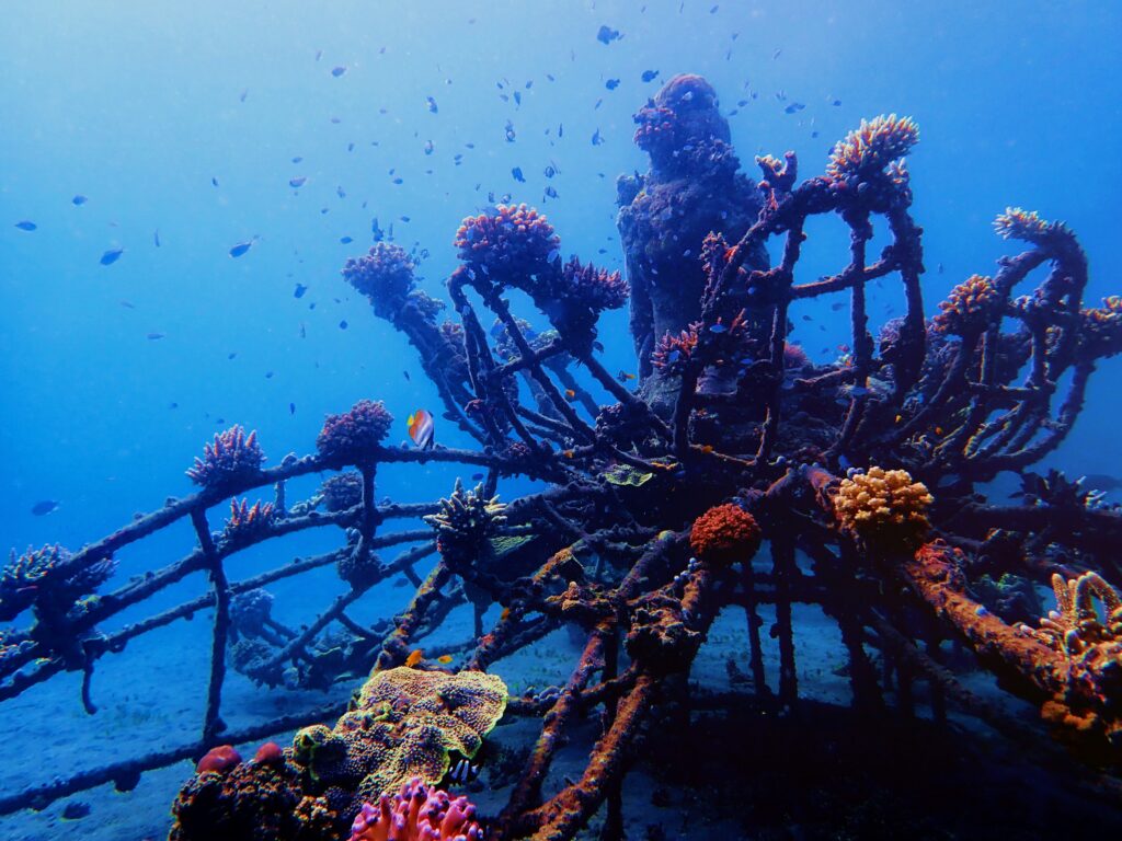rif onderwater koraal Bali